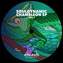 Souldynamic - Nyirit (Chameleon EP Vol.1) - Excedo Records
