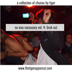 No Visa Necessary Vol. 4: Bruk Out