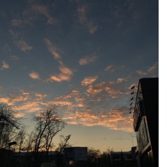 TIGER JAMS Sanga X Maraljingoo X Zeto - Chi Neg L Tiim Uur