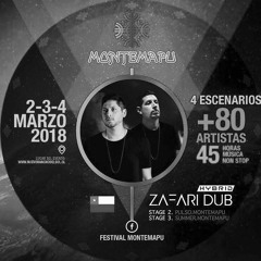 Zafari Dub @ Pulso Stage - Montemapu Festival 2018  //snippet//