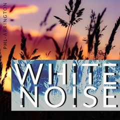 White Noise pt. 2
