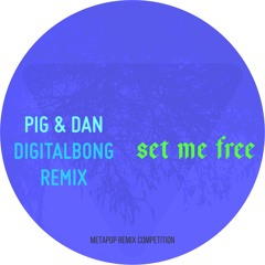 Pig&Dan - Set Me Free (digitalbong remix)