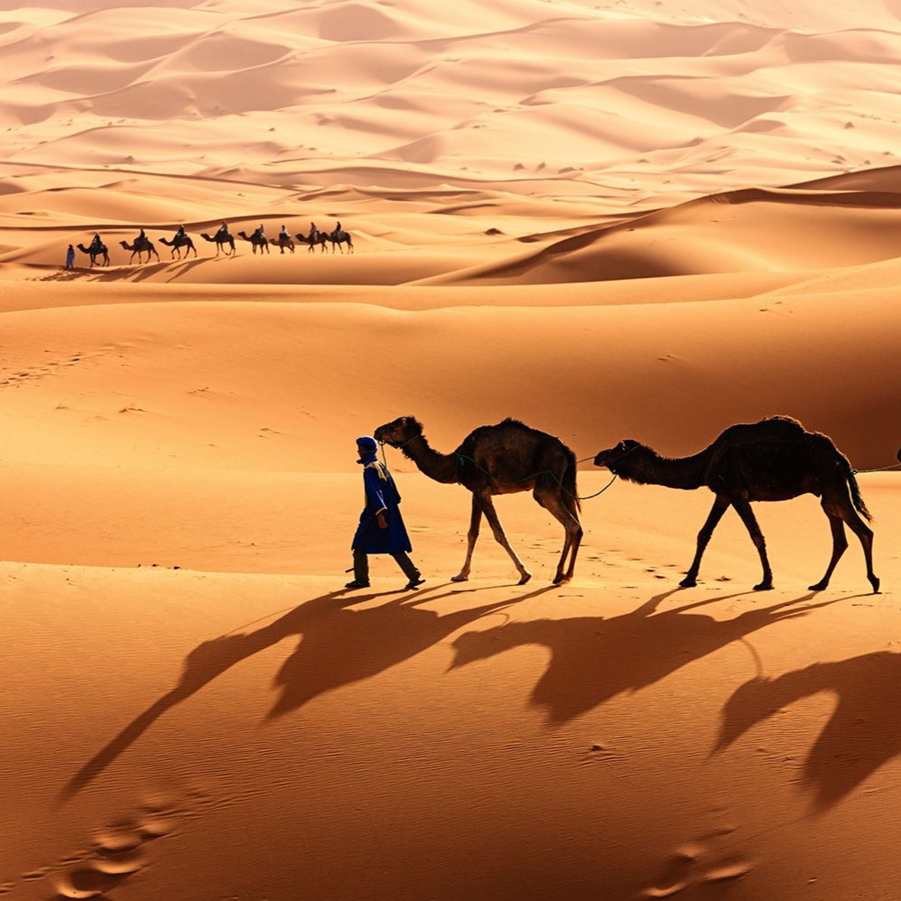 Desert episode artwork