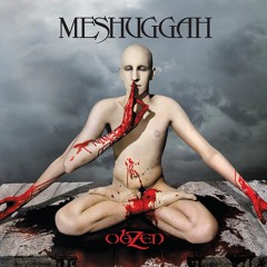 Meshuggah - Lethargica mix