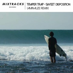 Temper Trap - Sweet Disposition (Aminalize Remix)