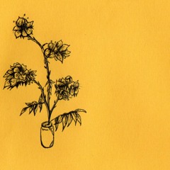 Coke (prod Rhiannon)