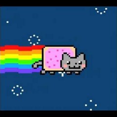 nyna cat