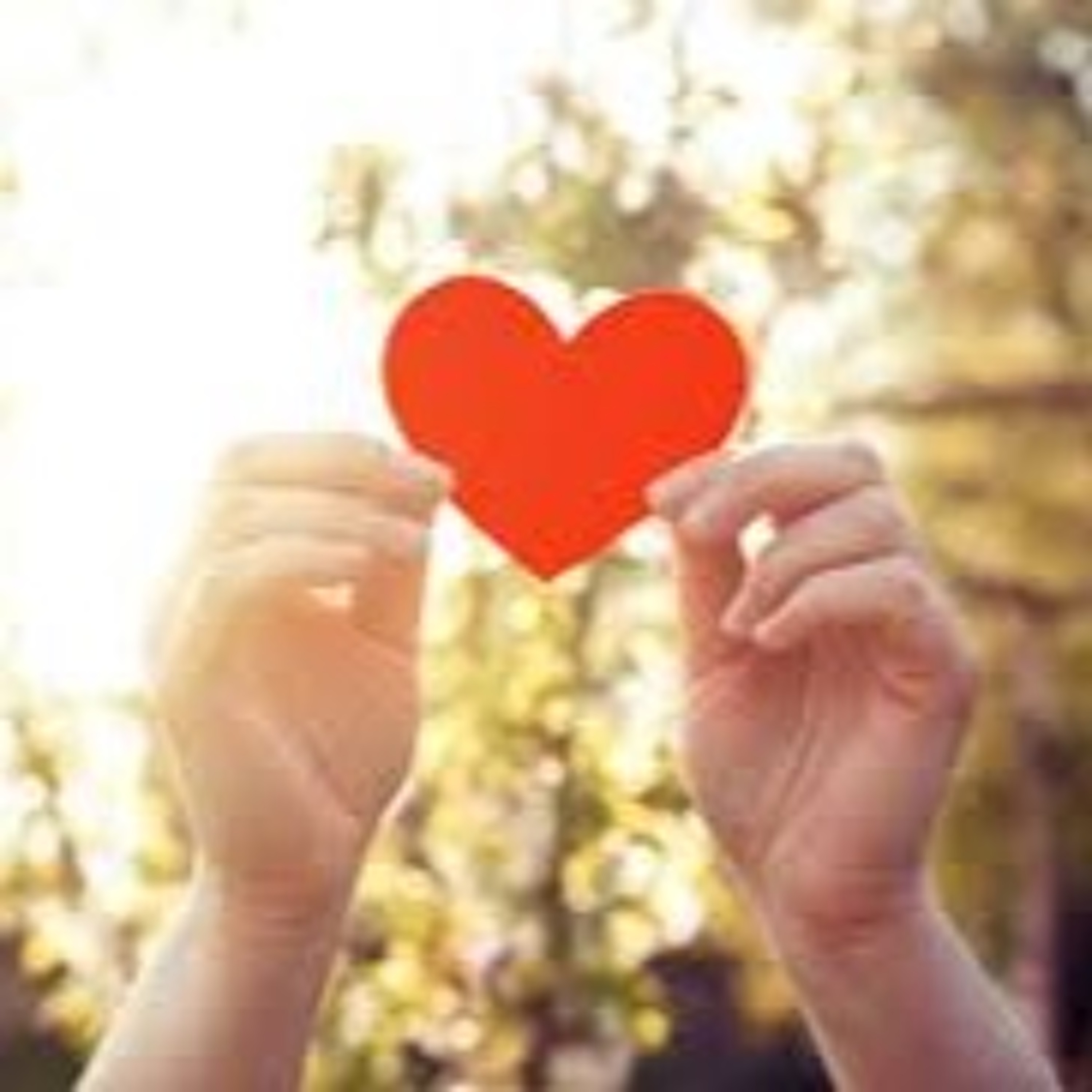 Live With Heart ~ Modo 60 Vinyasa Yoga Class