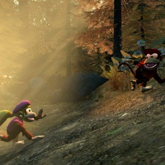 DKC2 - Forest Interlude