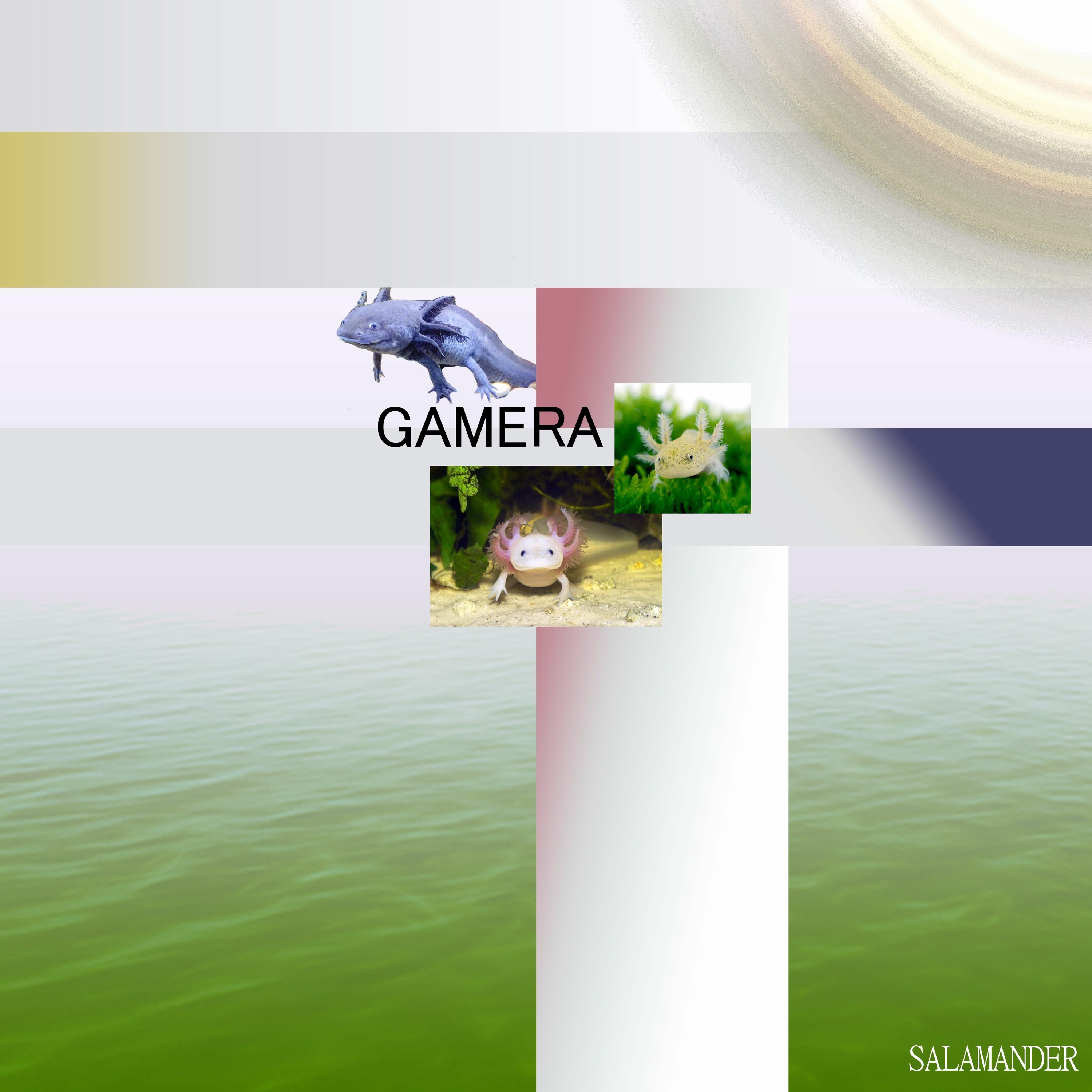 GAMERA aka GMRA