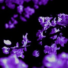 Syringe - ILikeBeing (Slowed to 95 BPM)