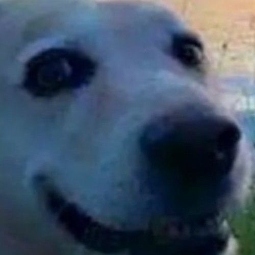 Im mad, but I aint stressin