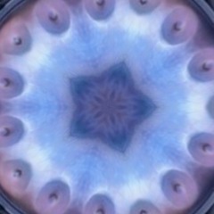 Tool - Vicarious (Handpan DJ Remix)