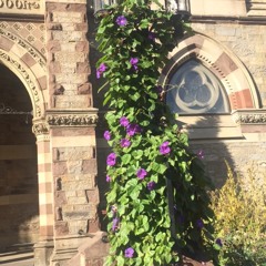 You're gonna live forever in me (cover) ft. Evan Grubb