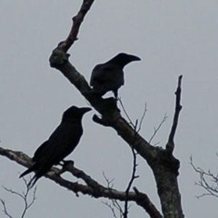 &#9760;