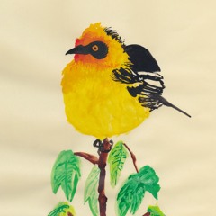 右往左往 やなぎさわまちことまちこの恐竜ver/やなぎさわまちこ特典シリーズ