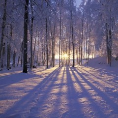 Winter Glow