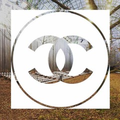 CHANEL PRIVATE AFTER SHOW A/W 2018-19 / AUTUMN LEAVES