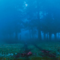 Matt Dunkley - Cycle 12 (Snow Palms Remix)