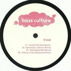 D'julz -Waiting 4 Visa (Bergqvist Remix) (2018 Bass Culture)