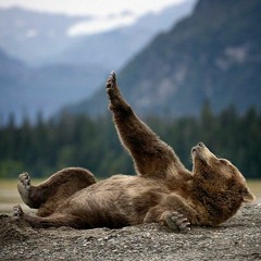 ~Mystiq~  Have a Good Night or Day..  Motivation level 1% yesss.. ;):P