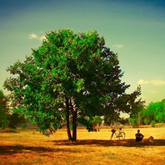 Free Chill Download
