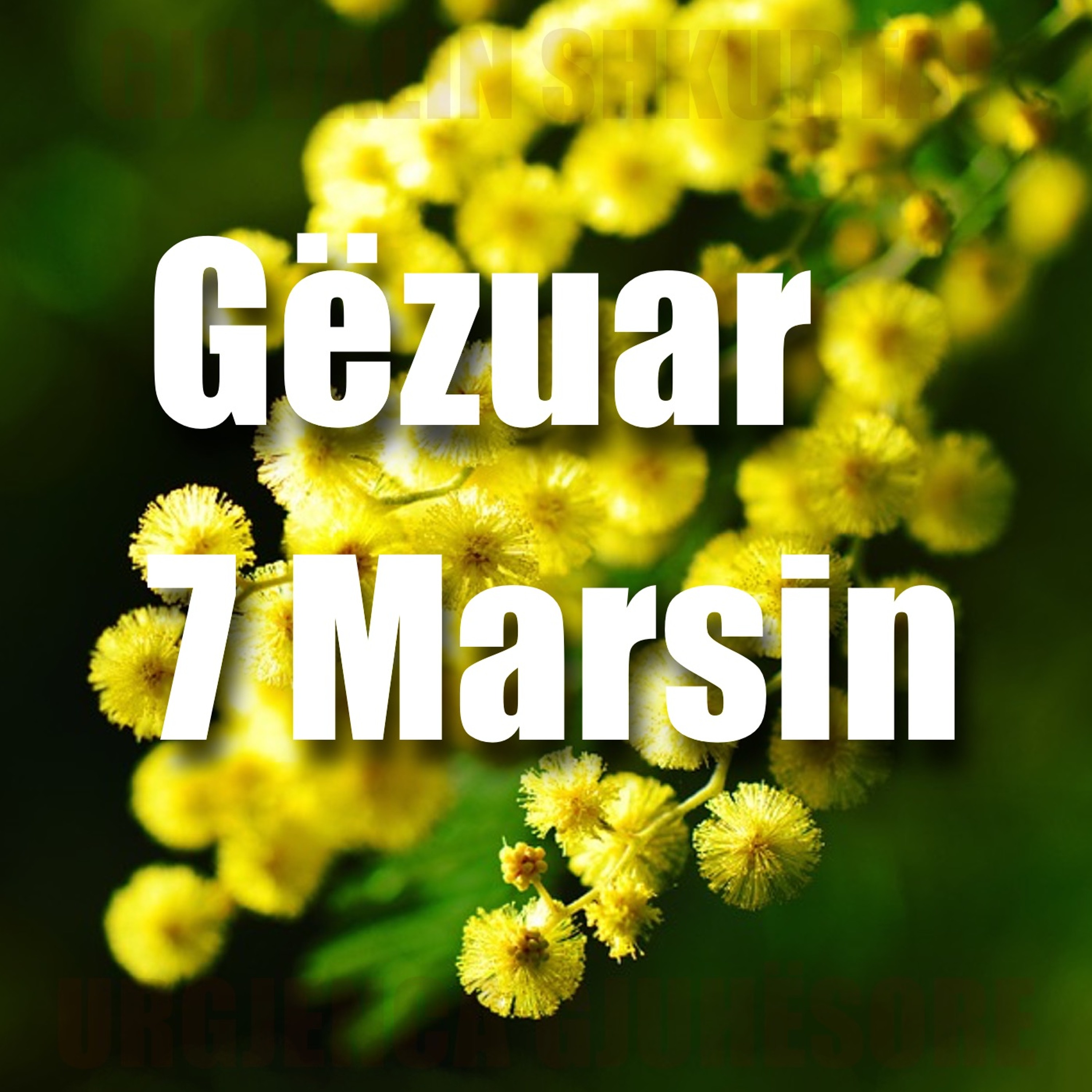 Urgjenca Gjuhesore
