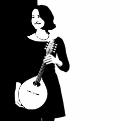 The Mist Covered Mountains of Home