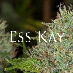 Ess Kay - Afghan Kush (Grime Instrumental)