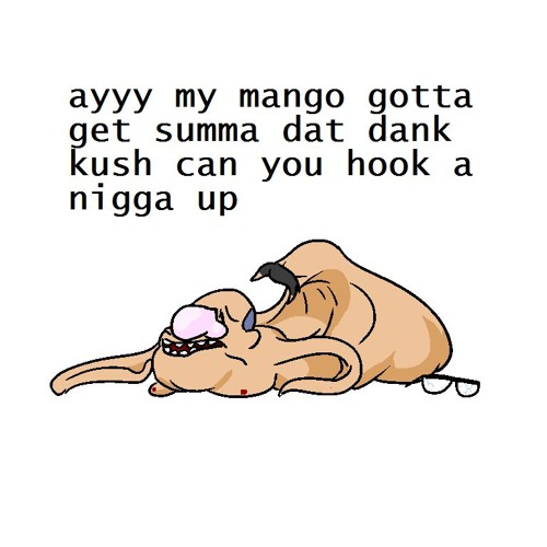 Memes Wide Open