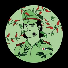 [PMSC005] Vitess - Panama Peppers EP