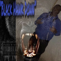 Mizzy Montana - Black Hawk Down