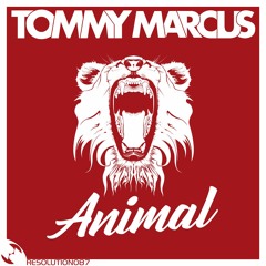 Tommy Marcus - Animal (Original Mix)