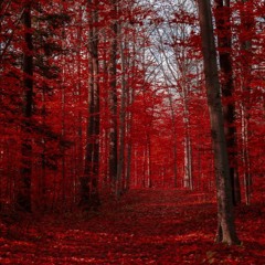 Bleeding Leaves