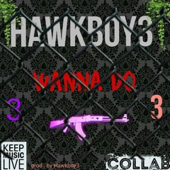 Hawkboy3 - Wanna Do