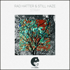 Rad Hatter & Still Haze - Stray