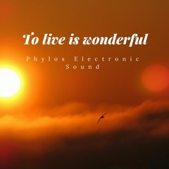 To Live Is Wonderful