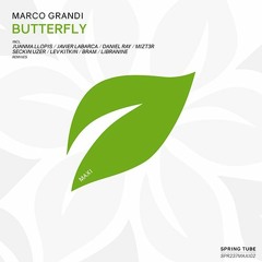 Marco Grandi - Butterfly