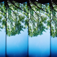 Blue Companion (Demo)