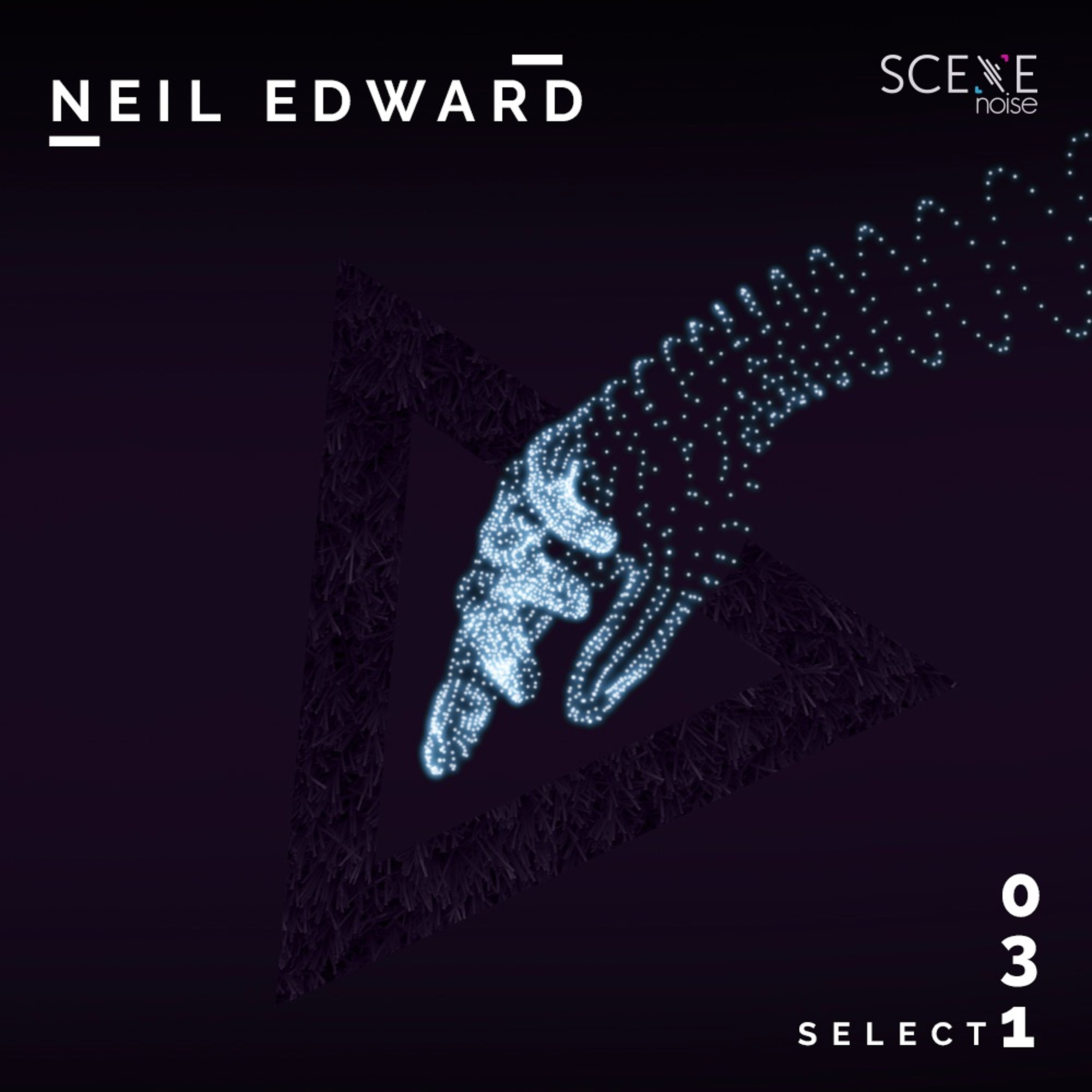 Select 031: Mixed by Neil Edward episode artwork