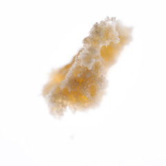 MIGA by Blanca Regina & Leafcutter John