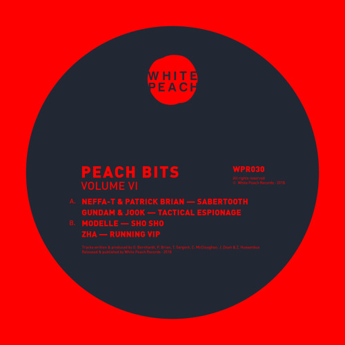 WPR030 - Neffa-T, Patrick Brian, Gundam, Jook, Modelle & Zha - Peach Bits Vol 6