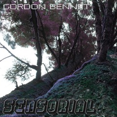Sensorial Set