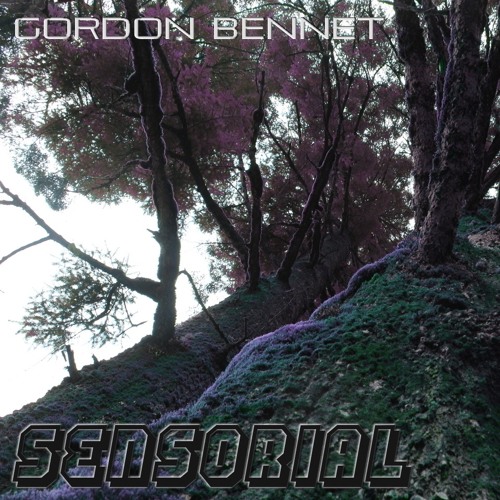 Sensorial Set