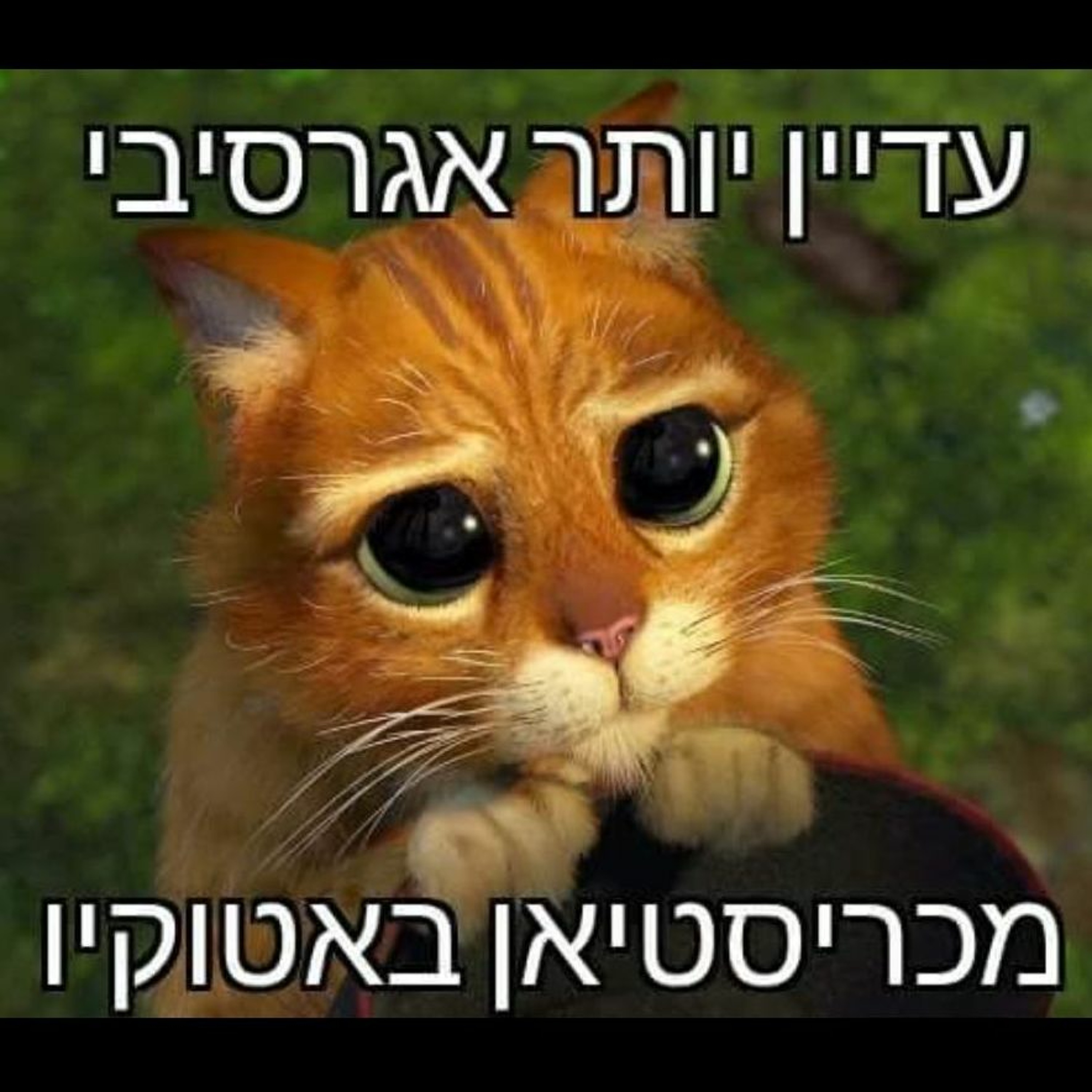 פרק #73 - מסכמים בצהוב את המחזור ה-25 ציון 3 – הפודקאסט פרק #73 - מסכמים בצהוב את המחזור ה-25