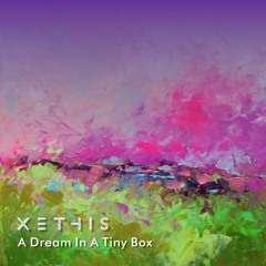 A Dream In A Tiny Box