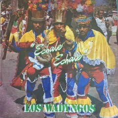 La Saja - Los Wadyngos (Village Cuts Edit)