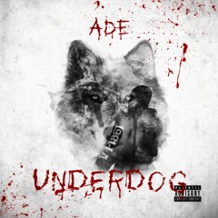 Puzzles feat. Jay Huff Bricks & Kop Simba