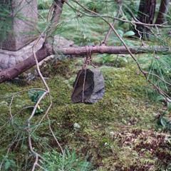 Experimental: Off the Beaten Path