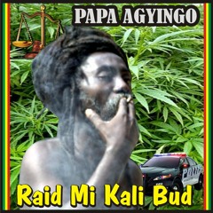 Raid Mi Kali Bud